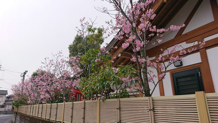 Kozu