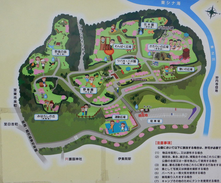 Sunsplash : 伊集院町の城山公園