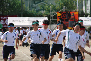 Sio7