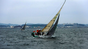 Mt5