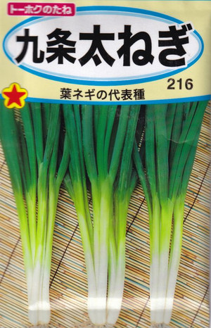 Negi