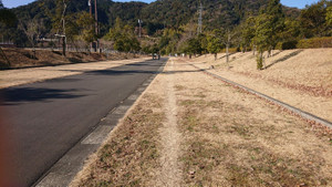 Fs3