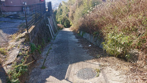 Mt3