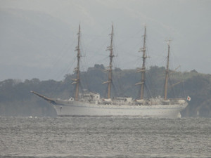 Nho1