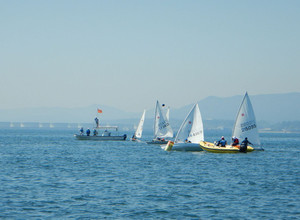 Ktr4