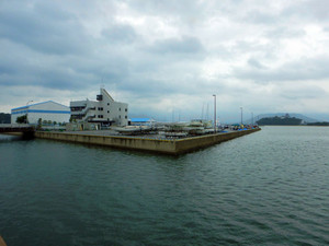 Kr1