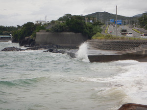 Tai61
