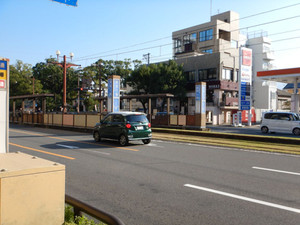D16