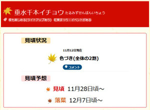 Ichou1