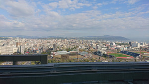 Kt1