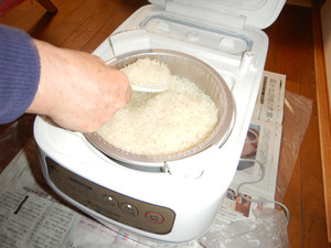 Mt1