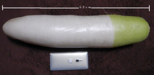 Dk1