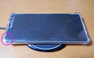 Hsj2