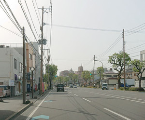 Kousa2