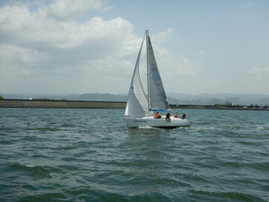 Hp8