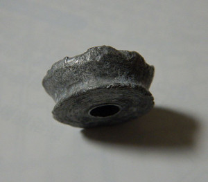 Mts1
